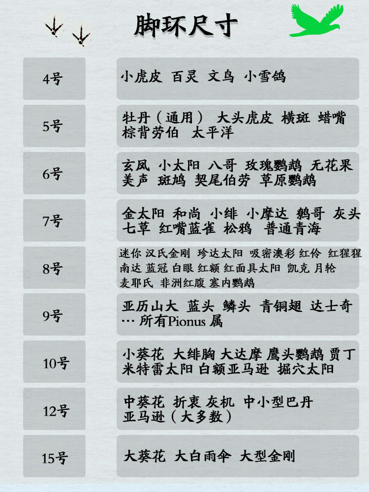 不锈钢鹦鹉开口脚环牡丹玄凤小金太阳和尚灰机金刚鸟站架脚链包邮-图0