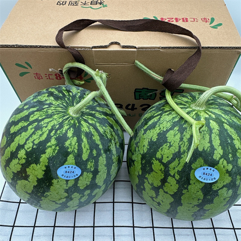 正宗上海8424西瓜大果整箱脆甜红壤新鲜水果无籽麒麟南汇黑籽当季,淘宝优惠券,粉丝福利购,淘宝优惠卷