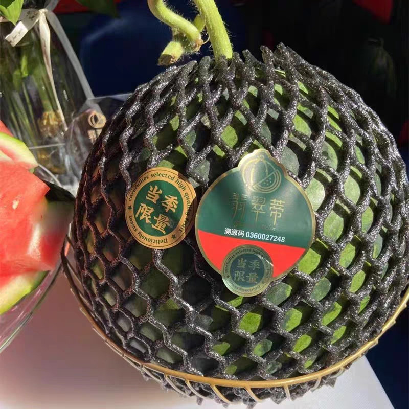 正宗翡翠蒂西瓜大果9斤脆甜当季红壤西瓜海南无籽麒麟新鲜水果,淘宝优惠券,粉丝福利购,淘宝优惠卷