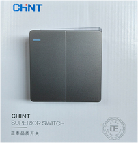 Positive Thai Switch 86 Type NEW2G Series NEW2-G00406 Phantom Silver Grey Ii Open Double Control Panel Big Plate Two Open