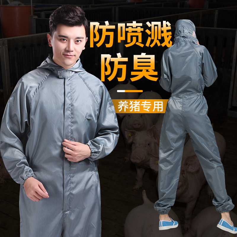 养猪防护服养殖场防臭隔离专用连体工作服喂猪衣服防尘男高温消毒-图2