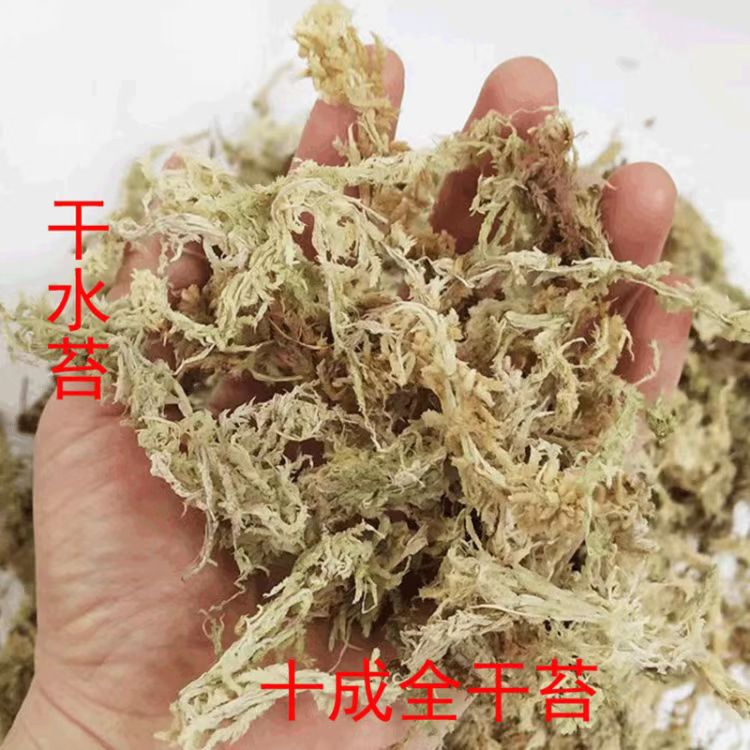 天然优质水苔蝴蝶兰花专用绿植花盆苔藓进口营养土乌龟蛇冬眠垫材 - 图1