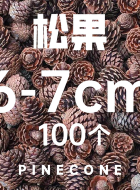天然松果手工DIY材料幼儿园环创