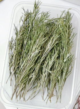 小草堂天然植物素材新云桦叶