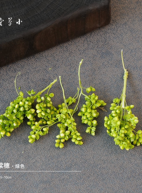 【高粱穗】天然植物干花干果农作物标本手工diy材料造景拍摄道具
