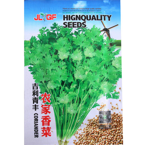 四季香菜种子 农田菜园可盆栽老品种大小叶芫荽香菜蔬菜籽 - 图2