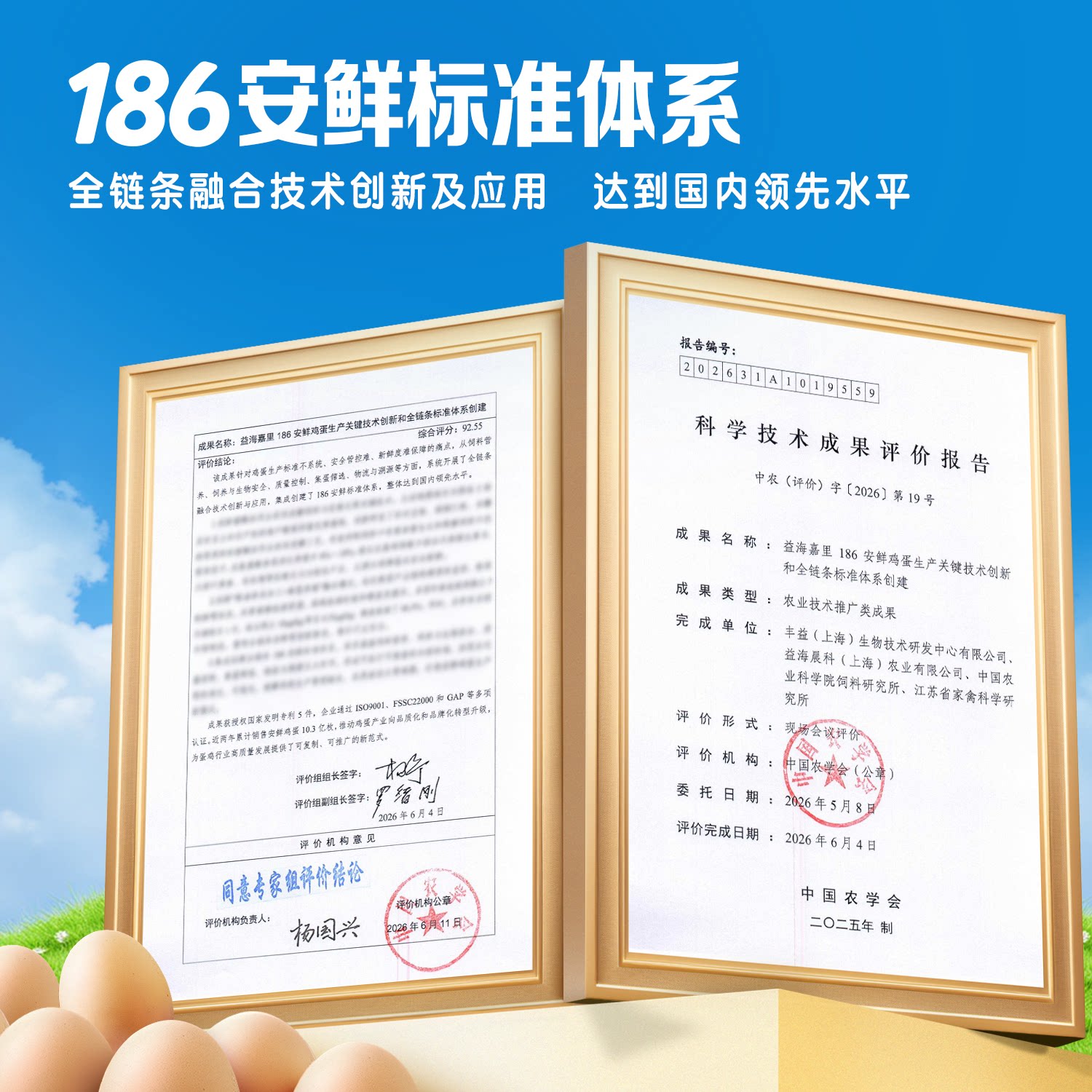 图 2