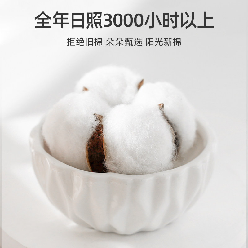 花花公子商务2022年春季爆款中筒袜 playboy睿盈短袜/打底袜/丝袜/美腿袜