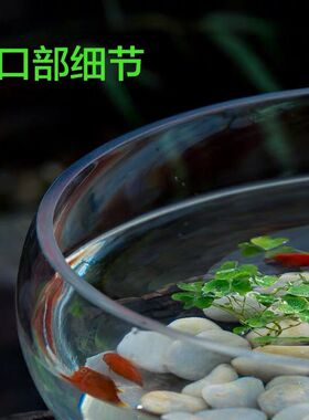 办公室小鱼缸加厚透明玻璃乌龟缸客厅家用桌面圆形迷你小型金鱼缸