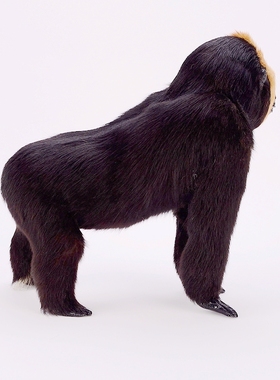 仿真大猩猩森林系玩具工艺品包邮