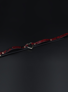 多色蛇纹项链爱心套脖