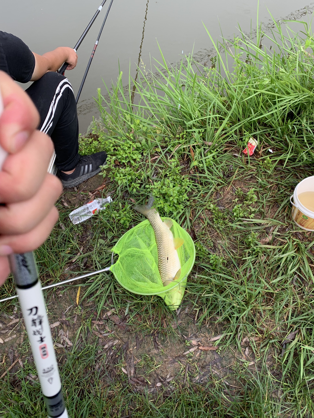 谷氨酸钓鱼小药鲫鲤鱼草鱼诱食鱼饵料添加剂黑坑野钓配合DMPT包邮 - 图2