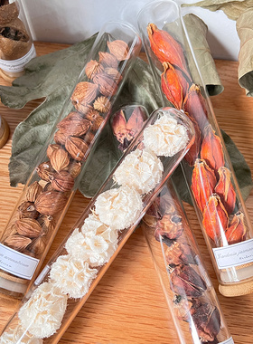 植物标本玻璃试管干花昆虫植物