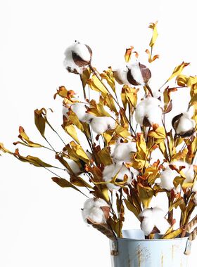 山树文艺范工业风森林系干花真花