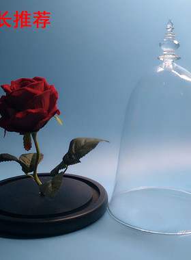 玻璃罩diy保鲜花防尘批发摆件