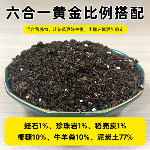 营养土养花通用专用花土营养土通用种花家用盆栽花卉植物种植土壤 - 图0