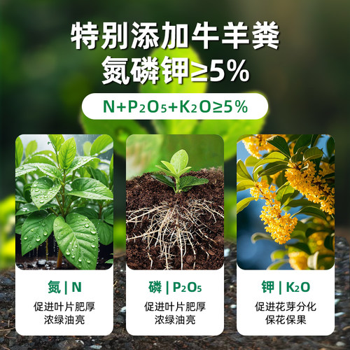 营养土养花通用专用花土营养土通用种花家用盆栽花卉植物种植土壤 - 图1