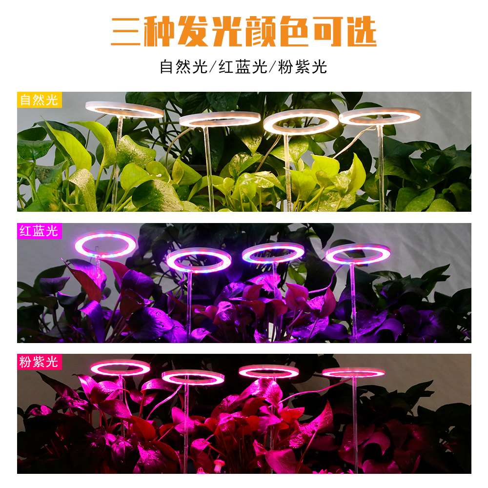 植物灯LED植物生长灯全光谱天使环多肉补光灯家用绿萝荷花种植灯