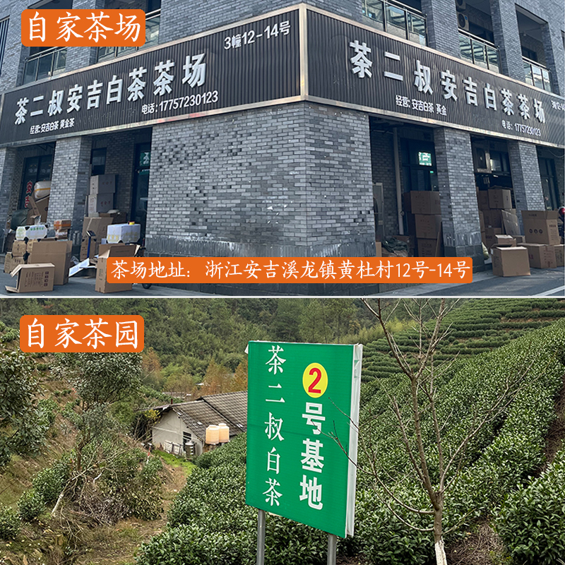 茶二叔2024年新茶安吉特产白茶正宗春茶250g送礼盒装绿茶茶叶特级 - 图3