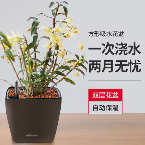 方形懒人自动自吸水花盆免浇水绿萝水养盆大口径绿箩储水塑料器皿 - 图1