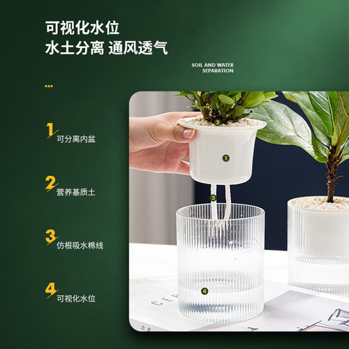 自动吸水懒人储水盆栽桌面简约透明花盆绿萝盆绿箩花卉绿植小花盆 - 图0