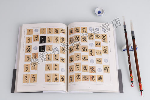 正版 书谱字汇 孙过庭文精书美词瀚双绝草书经典书论奠基名篇取字完备检索便捷临摹精准归类字例结字规律书法名家名帖临摹草书之宝 - 图3