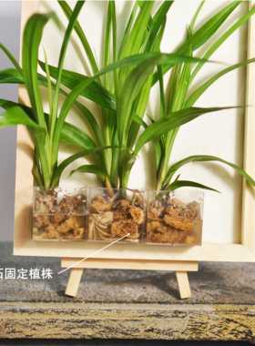 室内装饰绿植画框壁饰水培易养