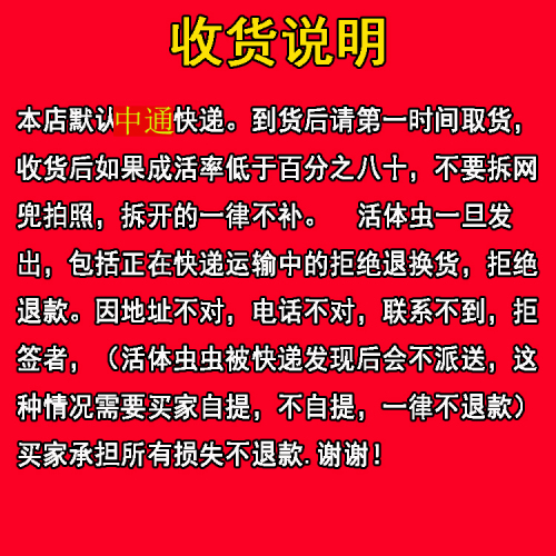 面包虫活体黄粉虫活虫鹦鹉鱼乌龟金龙鱼画眉鸟石蛙饲料包邮