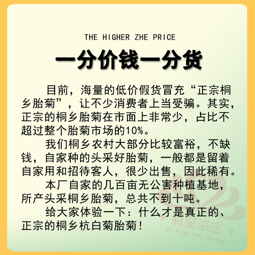 正宗头采桐乡胎菊王 杭白菊菊花茶无硫正品杭州贡菊杭菊散装500克 - 图0