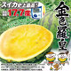 Golden Luohuang watermelon seeds have high germination rate in all seasons