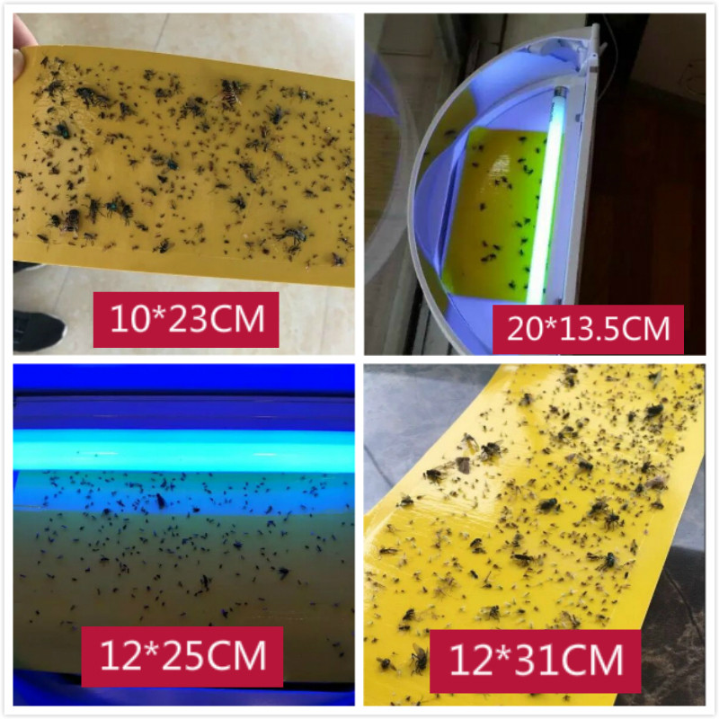 灭蝇纸粘捕式灭蚊灯灭蝇灯粘蝇纸专用餐厅用粘虫板诱苍蝇贴纳迪森,淘宝优惠券,粉丝福利购,淘宝优惠卷