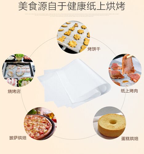 烧烤纸烤肉纸吸油纸长方形烤肉专用烤盘纸家用烘焙烤箱硅油纸不粘 - 图1
