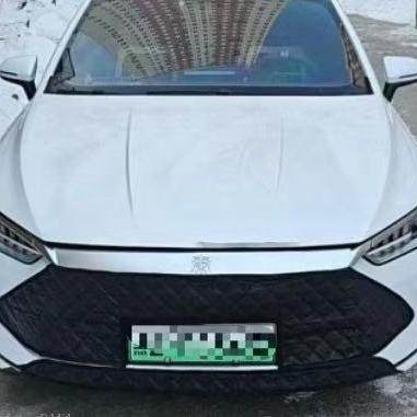 加厚适用秦L比亚迪秦plusdmi水箱保温罩秦驱逐舰05冬季挡风保暖罩,淘宝优惠券,粉丝福利购,淘宝优惠卷