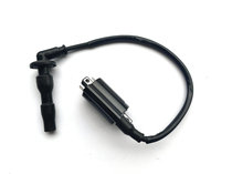 Kai Yue 500X500F Ignition Coil ZF500GY High Pressure Package Longxin KE500 Promise Ferris Ferris