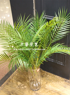 高档竹子餐厅棕榈叶绿植凤尾葵