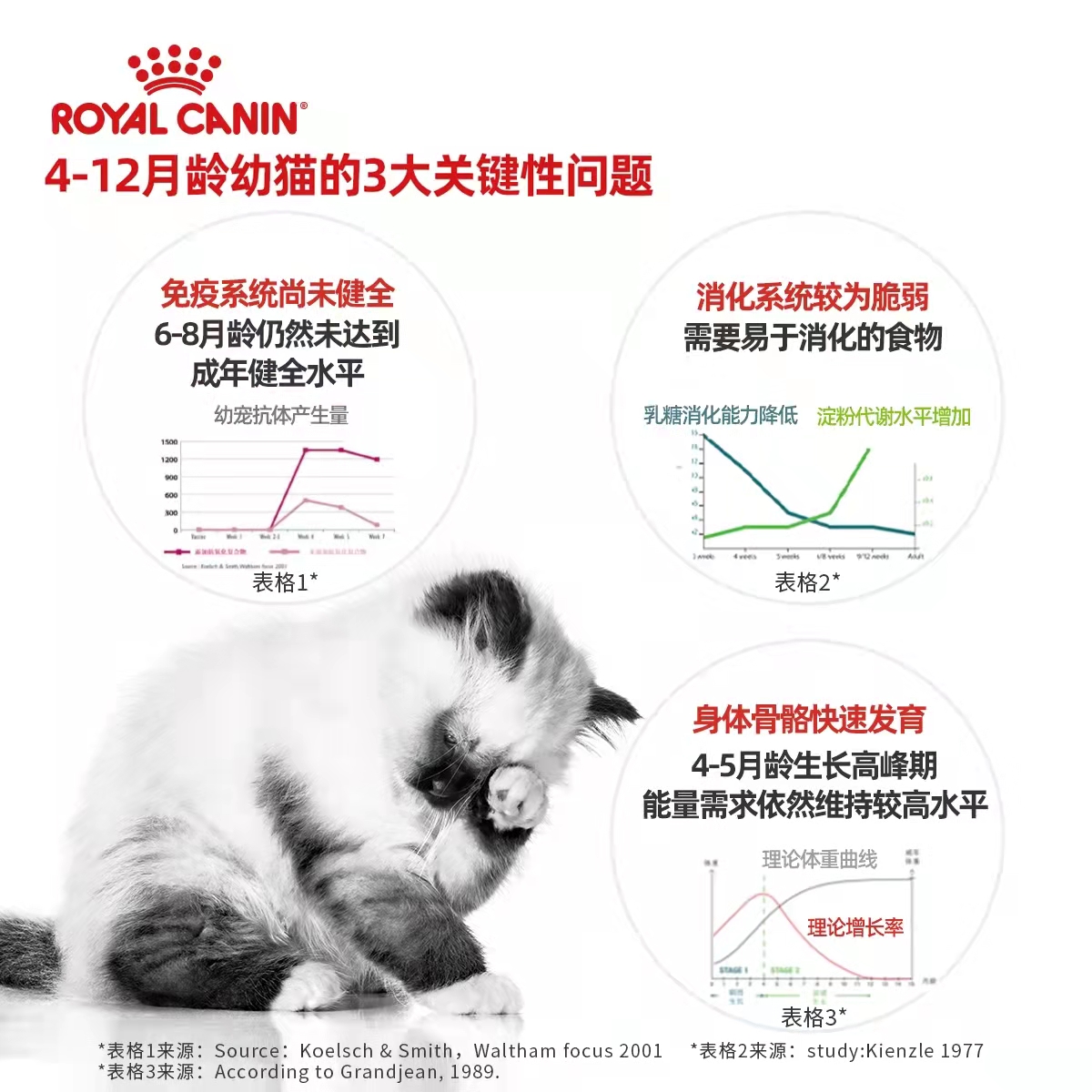 皇家猫粮幼猫奶糕专用官方正品K36/BK34热销榜小猫母孕猫离乳期猫 - 图0