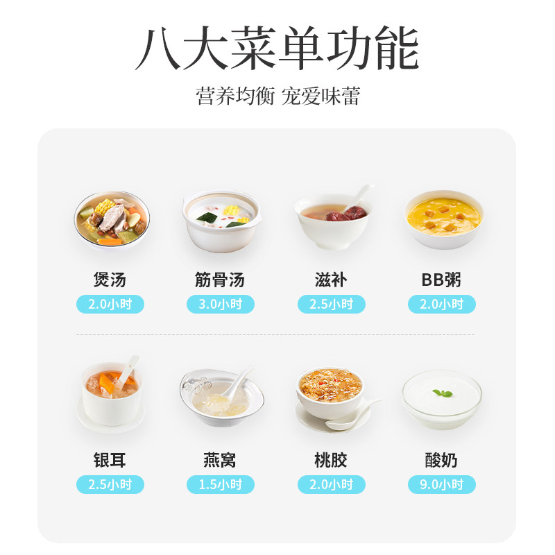 天际电炖炖锅陶瓷隔水炖汤煲汤锅 tonze天际苗硕电炖/煮粥锅/文火炉