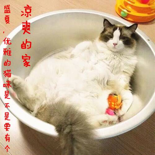 双峰老式加厚铝盆家用厨房大铝盆洗菜盆熬药猫盆洗衣洗脸盆22-55 - 图2