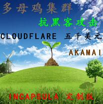 High defense domestic and foreign websites dd cdn anti-attack defense Hong Kong server cc traffic website ignore app