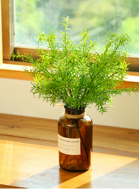 仿真景观植物墙餐厅花瓶点缀蕨草