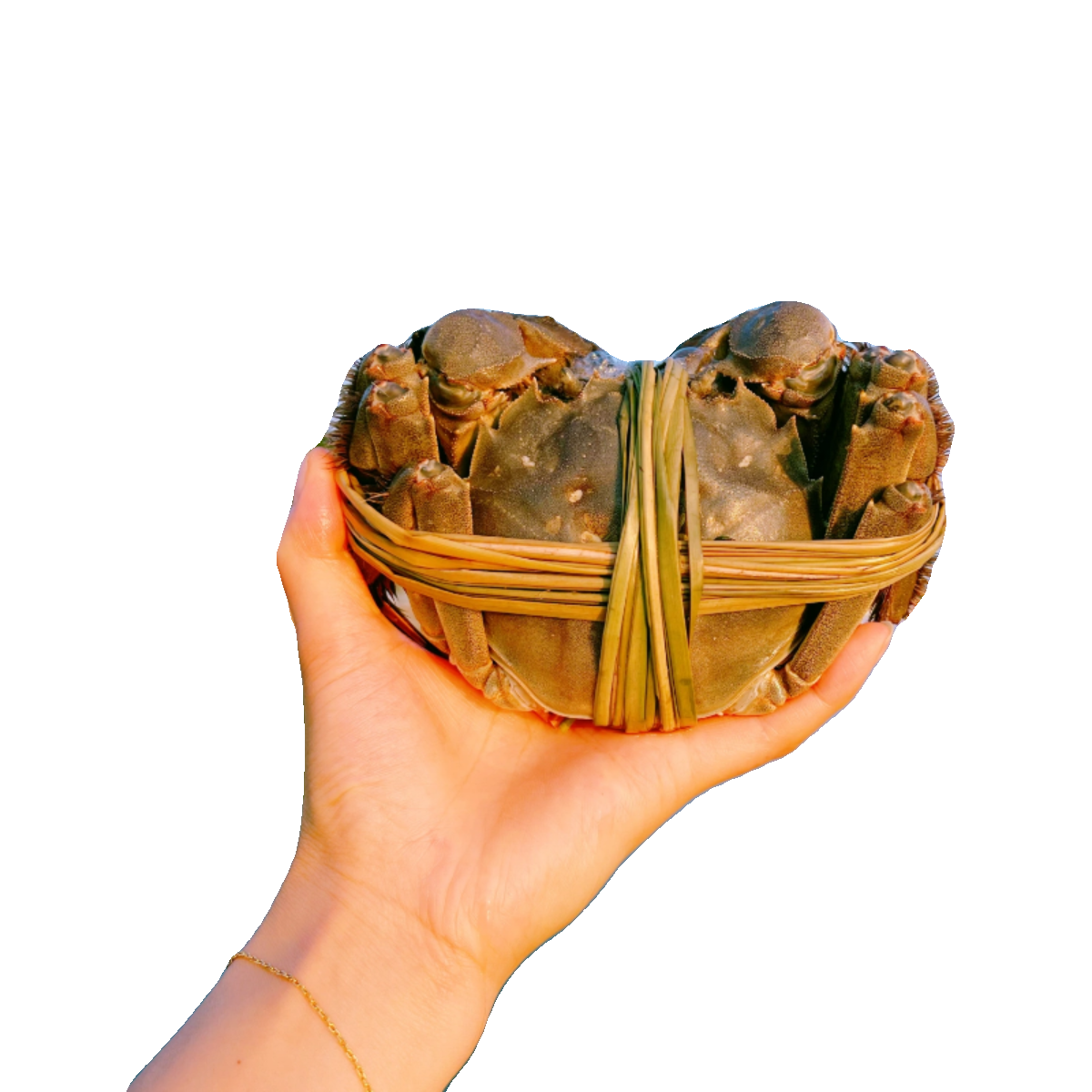 特大残蟹净重5-6两公螃蟹鲜活掉腿掉脚残次大闸蟹一只装-6只起拍,淘宝优惠券,粉丝福利购,淘宝优惠卷