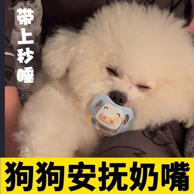 Special pacifier for pet dogs and dogs Pet toys puppy teeth grinding to relieve boredom pacifiers for puppy reuse