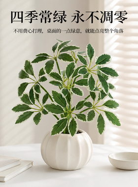 仿真绿植玄关摆件桌面客厅装饰品