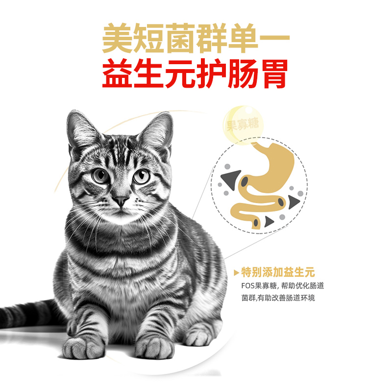 皇家猫粮美短成猫粮ASA31虎斑起司专用全价主粮美毛呵护肠道2KG - 图1