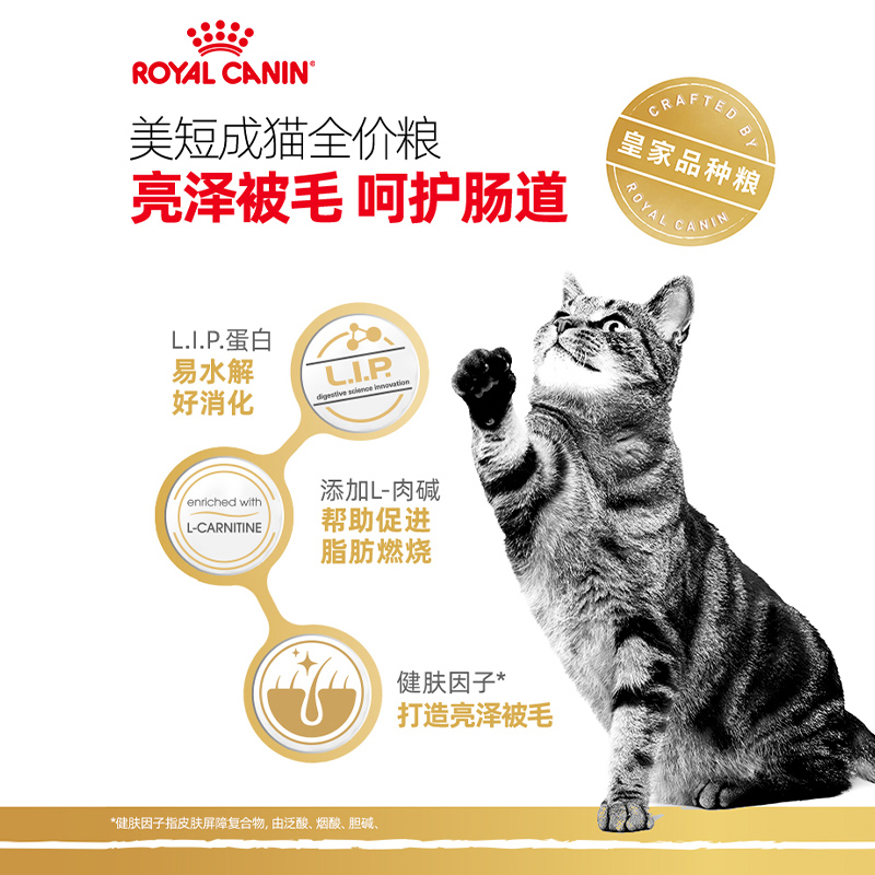 皇家猫粮英短成猫蓝猫专用BS34全价主粮美短/布偶/波斯品种粮合集 - 图1