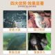Western style sweet potato corn cube bait green grass carp and bream nesting material replica explosion hook throwing rod special fishing bait