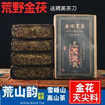 送茶刀 金花黑茶湖南黑茶安化黑茶叶安华黑茶茯砖茶1000g