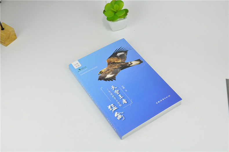 天空王者 飞过北京上空的猛禽 9995 张鹏 著 青少年鸟类科普知识读物 中国林业出版社 畅销书 - 图0
