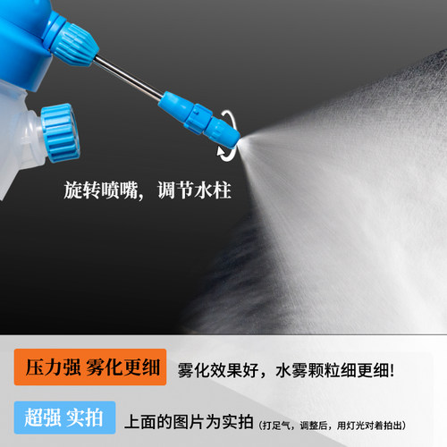 喷壶压力喷水壶园艺植物浇花喷雾打药除尘消毒 带刻度 微型家园艺 - 图0