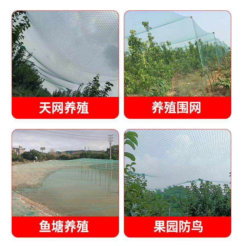 果园防鸟网果树樱桃葡萄防鸟用的网鱼塘天网大棚防护尼龙网养殖网